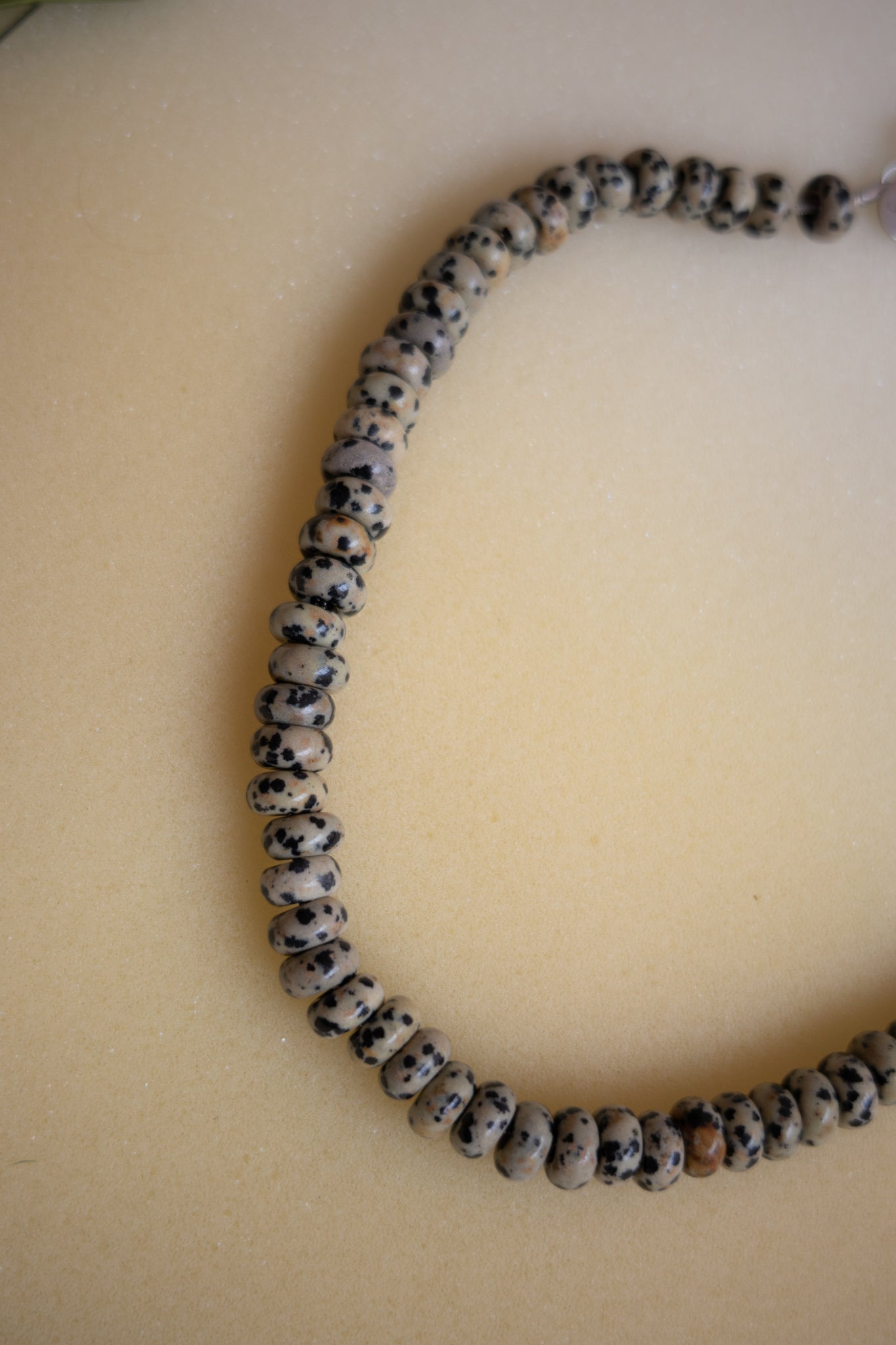 Collar Dalmatian Agate